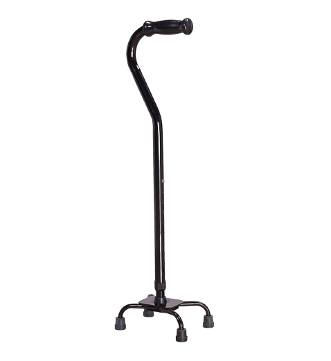 Walking Stick